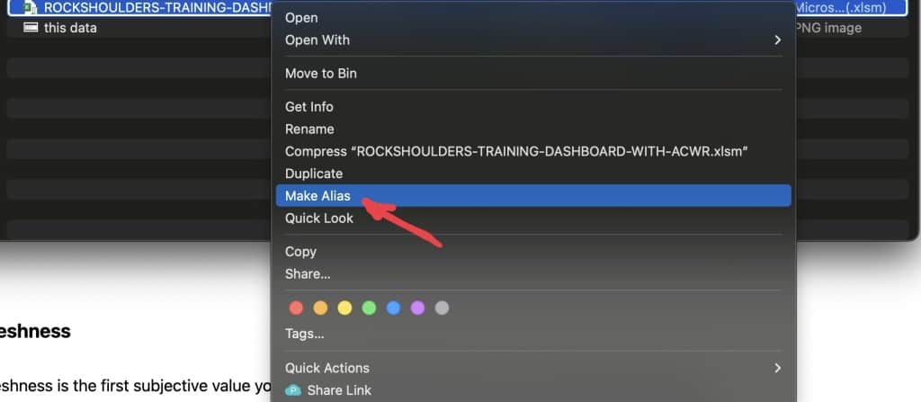 how to make an alias of the Rockshoulders Training Dashboard Excel to your desktop on Mac